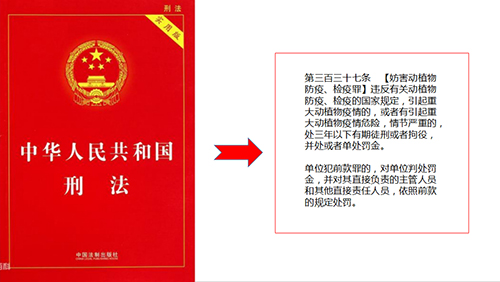 210308经营养殖“竹虫”“东亚飞蝗”不可取! (6).jpg