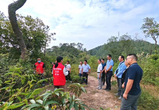 241111江门市召开镇级疫点拔除专家评审会 (3).png