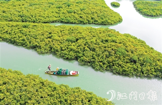 优质丰富的生态资源是恩平的核心优势,也是恩平市推动经济社会高质量发展的重要依托。 优质丰富的生态资源是恩平的核心优势,也是恩平市推动经济社会高质量发展的重要依托。