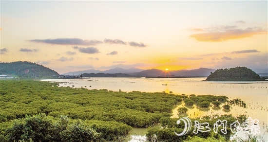 珠三角连片面积最大的红树林——恩平市镇海湾红树林,面积约373.33公顷(5600亩)。 珠三角连片面积最大的红树林——恩平市镇海湾红树林,面积约373.33公顷(5600亩)。