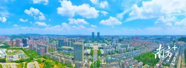 江门城区航拍。 南方+ 杨兴乐 拍摄 图片