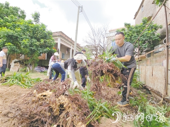 沙坪街道林屋村开展“两清一灭”行动。 沙坪街道林屋村开展“两清一灭”行动。