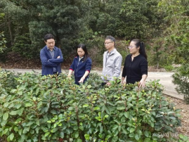 250314江门市举办乡村绿化技术培训班暨乡村绿化“六个一”专项行动部署会 (5).png