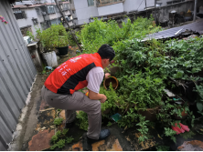 250807防蚊灭蚊，我们在行动——江门市自然资源局开展爱国卫生运动 (4).png